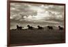 Racing the Clouds-Lisa Dearing-Framed Photographic Print