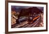 Racing up Cajon-Brad Faegre-Framed Art Print