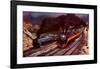 Racing up Cajon-Brad Faegre-Framed Art Print