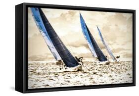 Racing Waters II-Alan Hausenflock-Framed Stretched Canvas