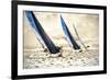 Racing Waters II-Alan Hausenflock-Framed Photographic Print