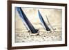 Racing Waters II-Alan Hausenflock-Framed Photographic Print