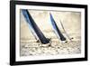 Racing Waters II-Alan Hausenflock-Framed Photographic Print