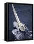 Racing Yacht-null-Framed Stretched Canvas