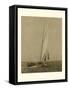 Racing Yachts I-Vision Studio-Framed Stretched Canvas
