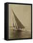 Racing Yachts II-Vision Studio-Framed Stretched Canvas