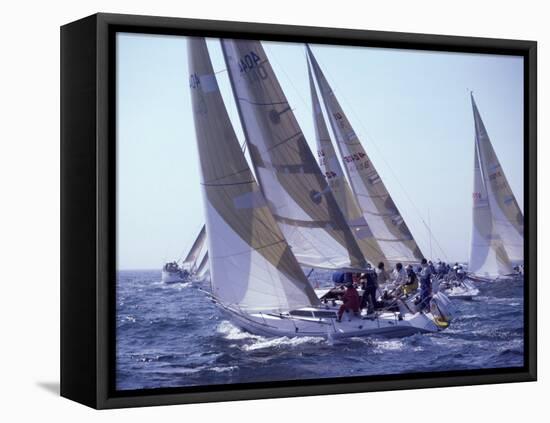 Racing Yachts Newport Rhode Island, USA-null-Framed Stretched Canvas