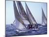 Racing Yachts Newport Rhode Island, USA-null-Mounted Photographic Print