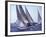 Racing Yachts Newport Rhode Island, USA-null-Framed Photographic Print