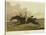 Racing-Henry Thomas Alken-Stretched Canvas