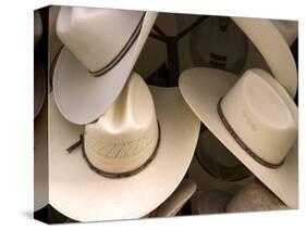 Rack with Assortment of Stylish Mexican Hats, Puerto Vallarta, Mexico-Nancy & Steve Ross-Stretched Canvas