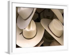 Rack with Assortment of Stylish Mexican Hats, Puerto Vallarta, Mexico-Nancy & Steve Ross-Framed Photographic Print