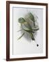 Racket Tailed Parrot-John Gould-Framed Giclee Print