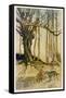 Rackham, Red R.H. and Wolf-Arthur Rackham-Framed Stretched Canvas