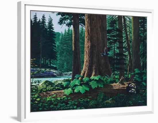 Racoon Family-Stan Galli-Framed Premium Giclee Print