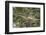 Racoon (Raccoon) (Procyon Lotor), Montana, United States of America, North America-Janette Hil-Framed Photographic Print