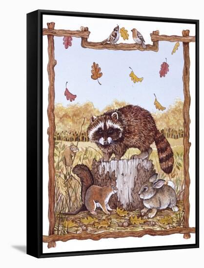 Racoon, Squirrel and Rabbit with Fall Leaves-Wendy Edelson-Framed Stretched Canvas