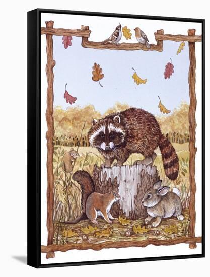 Racoon, Squirrel and Rabbit with Fall Leaves-Wendy Edelson-Framed Stretched Canvas