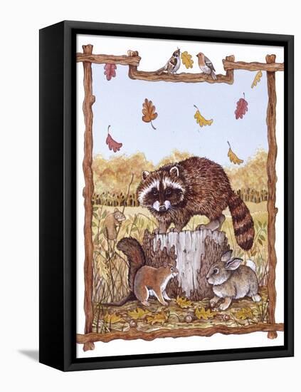 Racoon, Squirrel and Rabbit with Fall Leaves-Wendy Edelson-Framed Stretched Canvas