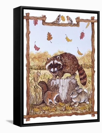 Racoon, Squirrel and Rabbit with Fall Leaves-Wendy Edelson-Framed Stretched Canvas