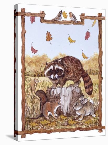 Racoon, Squirrel and Rabbit with Fall Leaves-Wendy Edelson-Stretched Canvas