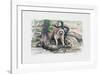 Racoon-Everett Hibbard-Framed Limited Edition