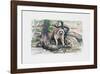 Racoon-Everett Hibbard-Framed Limited Edition