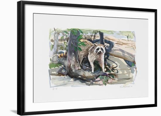 Racoon-Everett Hibbard-Framed Limited Edition