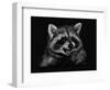 Racoon-Geraldine Aikman-Framed Giclee Print