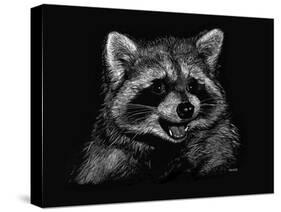 Racoon-Geraldine Aikman-Stretched Canvas