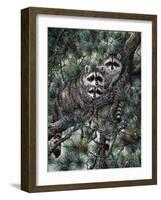 Racoons-Jeff Tift-Framed Giclee Print