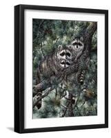Racoons-Jeff Tift-Framed Giclee Print
