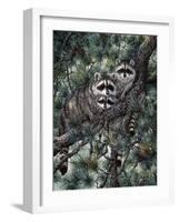 Racoons-Jeff Tift-Framed Giclee Print