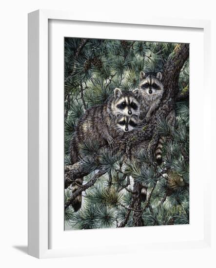 Racoons-Jeff Tift-Framed Giclee Print