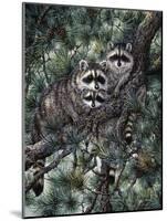 Racoons-Jeff Tift-Mounted Giclee Print