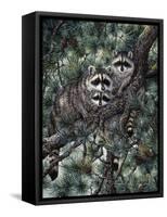 Racoons-Jeff Tift-Framed Stretched Canvas