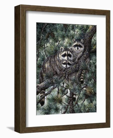 Racoons-Jeff Tift-Framed Giclee Print