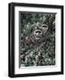 Racoons-Jeff Tift-Framed Giclee Print