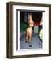 Racquel Darrian-null-Framed Photo