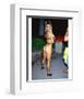 Racquel Darrian-null-Framed Photo