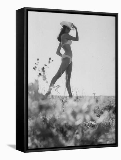 Racquel Welch Sporting a White Cowboy Hat While Posing in a Bikini-null-Framed Stretched Canvas