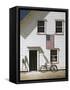 Rad Bicycle-Zhen-Huan Lu-Framed Stretched Canvas