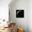 Radar View of the Southern Hemisphere of Venus-Michael Benson-Framed Stretched Canvas displayed on a wall