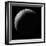 Radar View of the Southern Hemisphere of Venus-Michael Benson-Framed Photographic Print