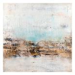 Oceanside No. 2-Radek Smach-Stretched Canvas