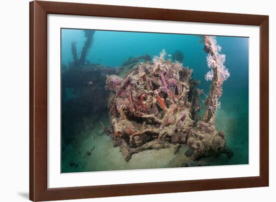 Radial Engine of the Dauntless Dive Powerful Striker Aircraft Wreck, Marovo Lagoon, the Solomon Isl-Reinhard Dirscherl-Framed Photographic Print