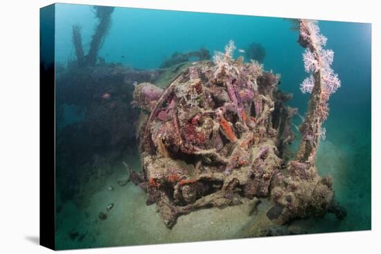 Radial Engine of the Dauntless Dive Powerful Striker Aircraft Wreck, Marovo Lagoon, the Solomon Isl-Reinhard Dirscherl-Stretched Canvas