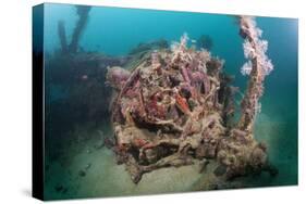 Radial Engine of the Dauntless Dive Powerful Striker Aircraft Wreck, Marovo Lagoon, the Solomon Isl-Reinhard Dirscherl-Stretched Canvas