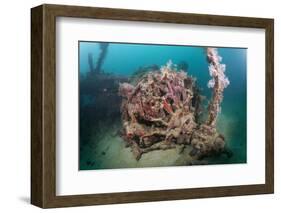 Radial Engine of the Dauntless Dive Powerful Striker Aircraft Wreck, Marovo Lagoon, the Solomon Isl-Reinhard Dirscherl-Framed Photographic Print