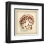 Radial Seashell-null-Framed Art Print